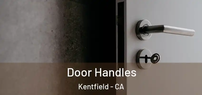  Door Handles Kentfield - CA