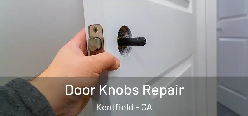 Door Knobs Repair Kentfield - CA